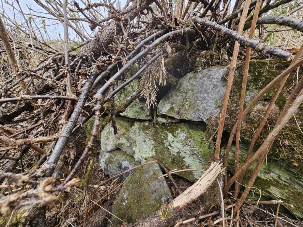 Detalj av mur
