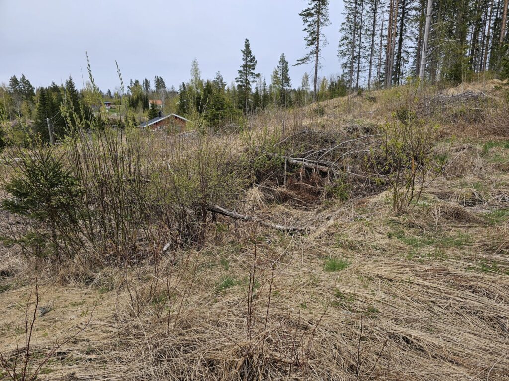 Tuft med mulig kjellerrest