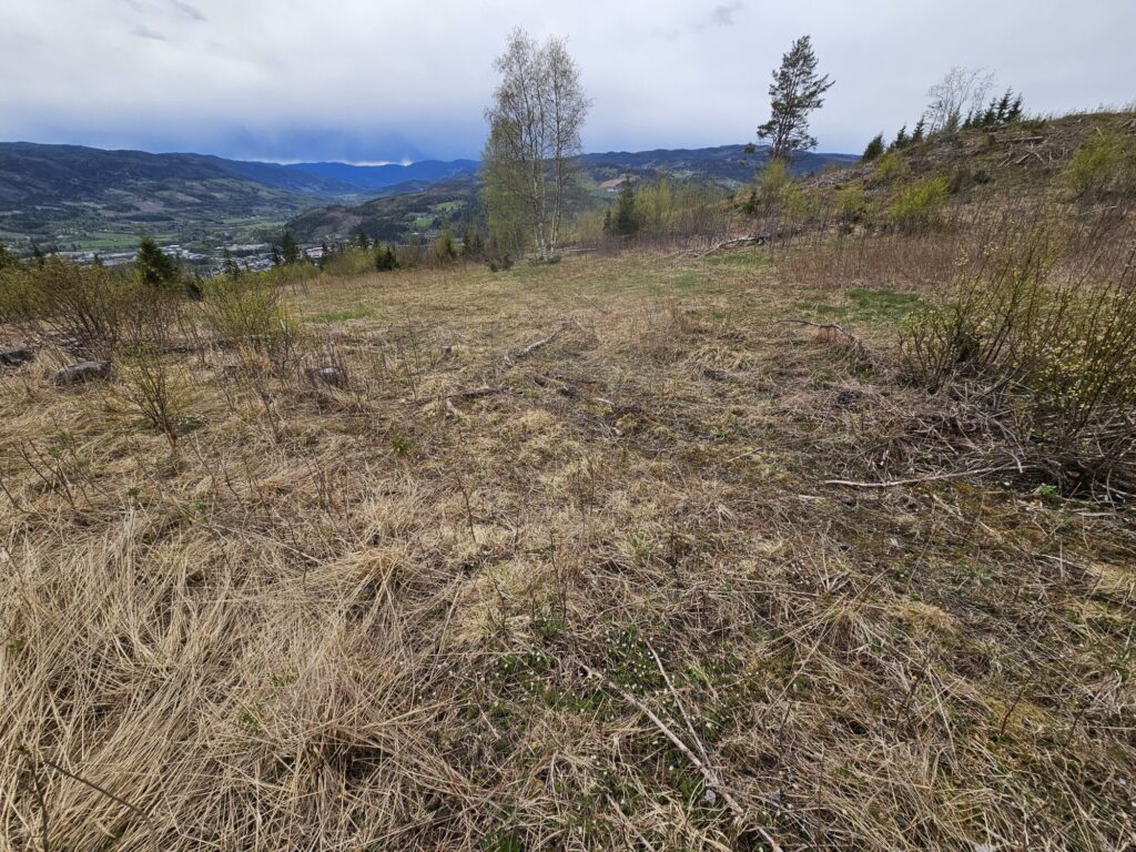 Dyrkingsområde og beiteland